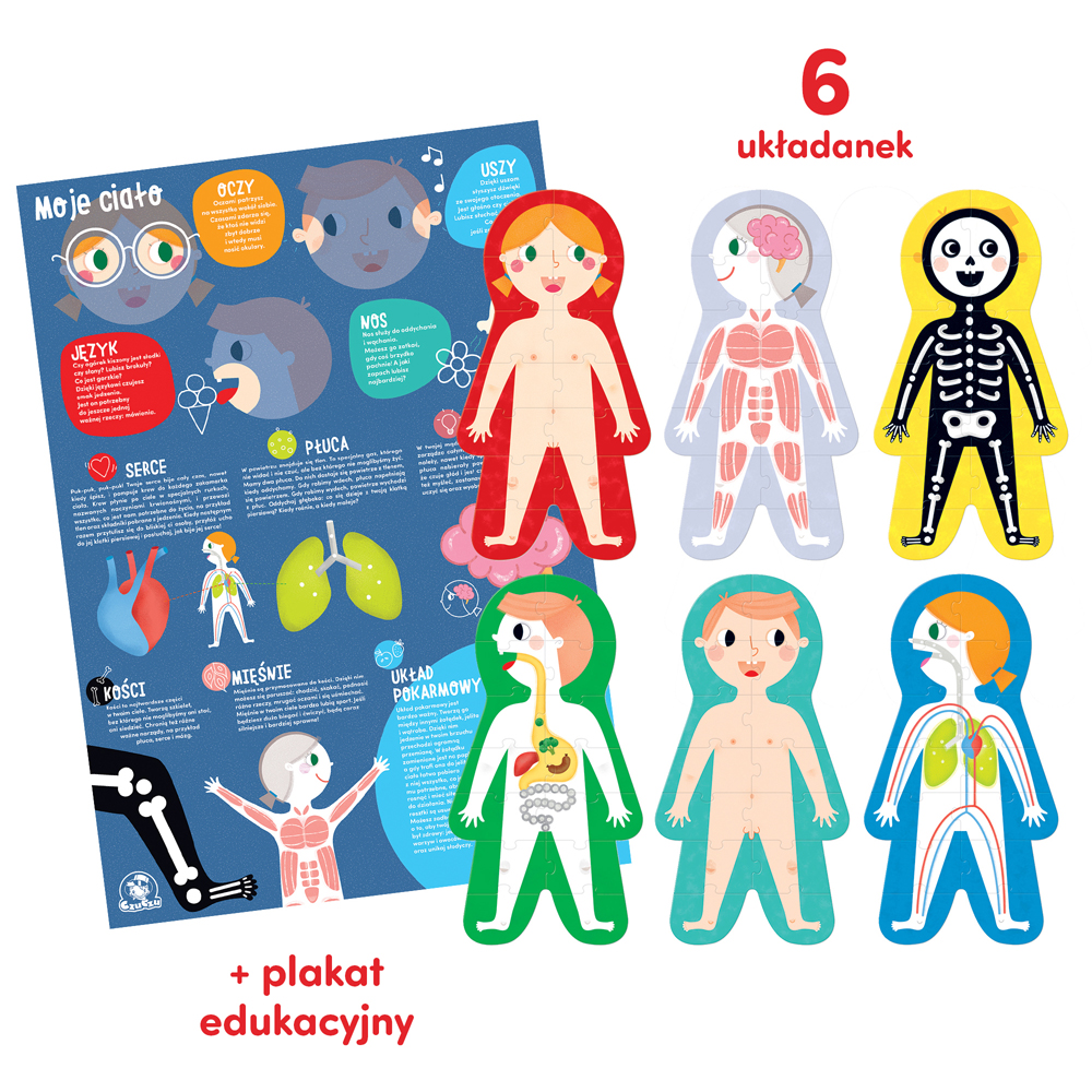 edukacyjne puzzle z plakatem Moje ciało