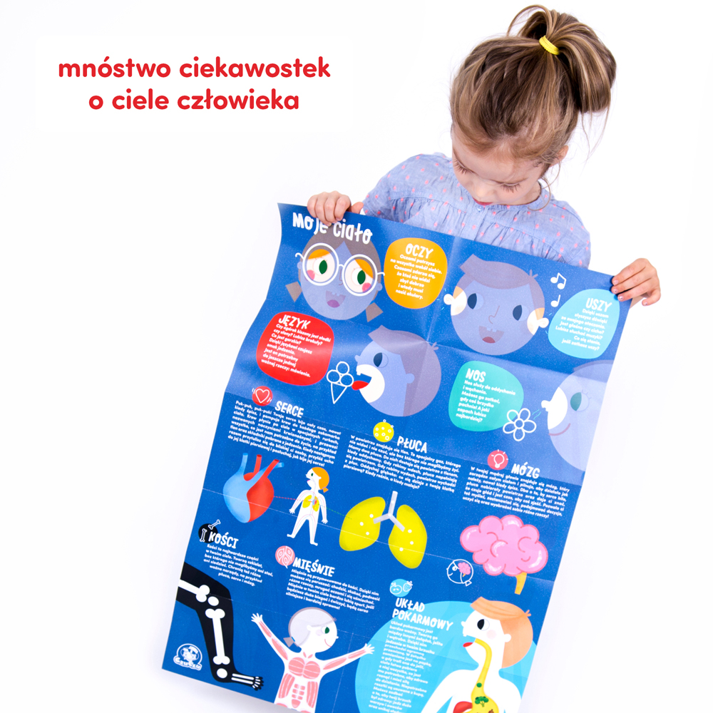 plakat z wiadomościami o ciele człowieka