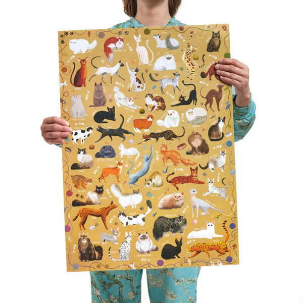 plakat z kotami 48x68cm