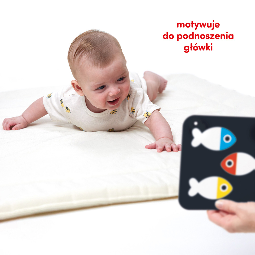 Duże karty kontrastowe </br> dla dzieci 0 i 3 mies.+ - obrazek 4