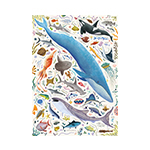miniatura plakat Ryby