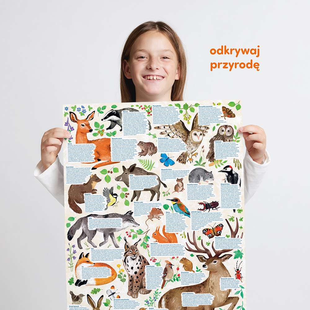 plakat edukacyjny z ciekawostkami Dzika przyroda