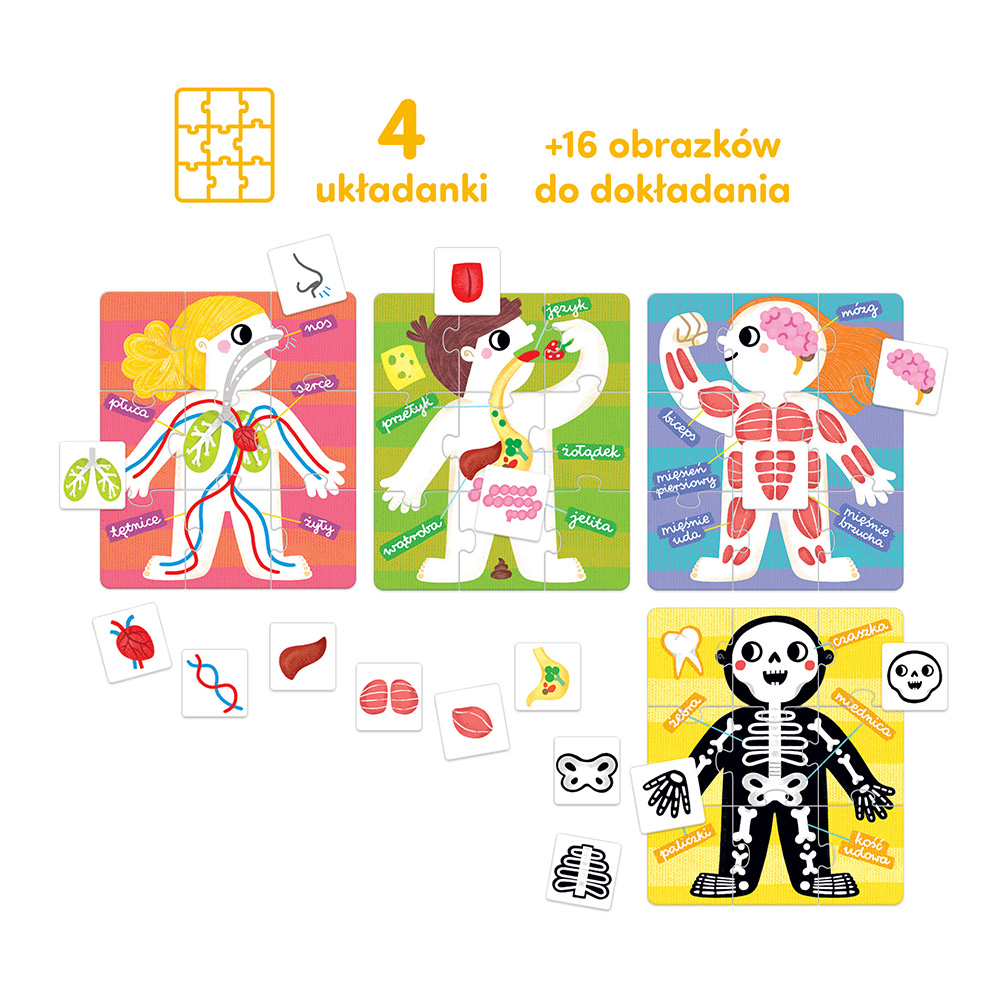 Puzzle Moje ciało - obrazek 4