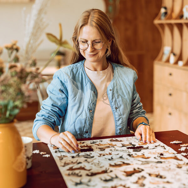 Puzzlove Konie ilustracja puzzle z konmi