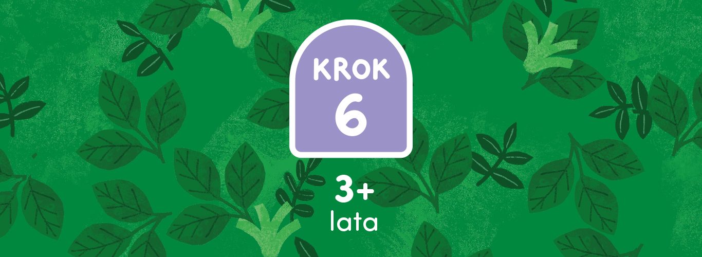 Seria_Krok_po_Kroku_Cover_6